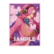 60Pcs/set Anime One Piece Vinsmoke Reiju Flash Trading Card