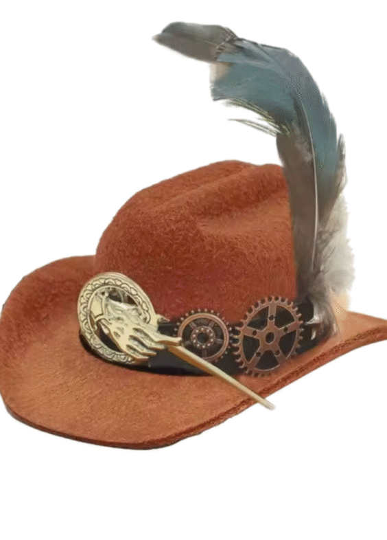 Anime One Piece Ace Cowboy Hat