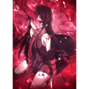 Akame Ga Kill Anime Akame Canvas Wall Art Picture