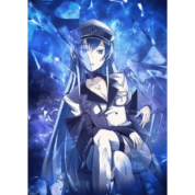 Akame Ga Kill Anime Esdeath Canvas Wall Art Picture