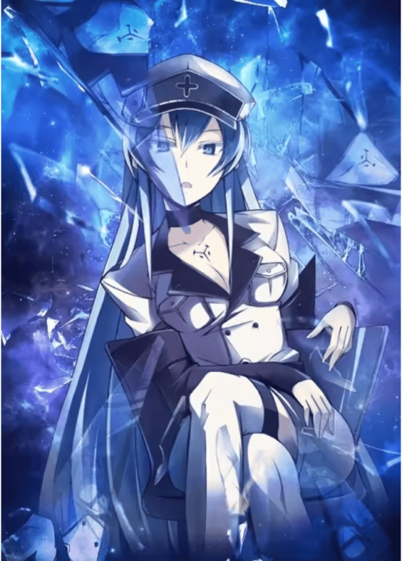 Akame Ga Kill Anime Esdeath Canvas Wall Art Picture