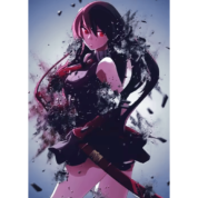 Akame Ga Kill Anime Akame Canvas Wall Decor