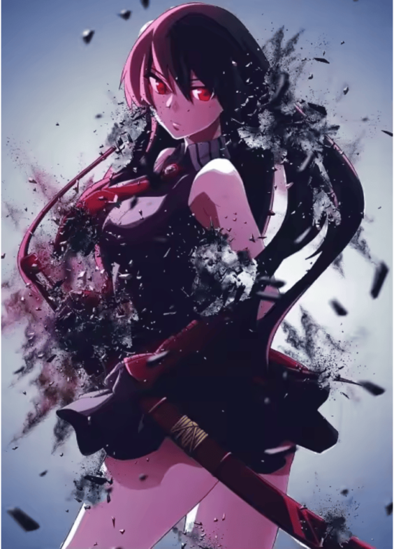Akame Ga Kill Anime Akame Canvas Wall Decor