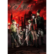 Anime Akame Ga Kill Characters Printed Canvas Wall Decor