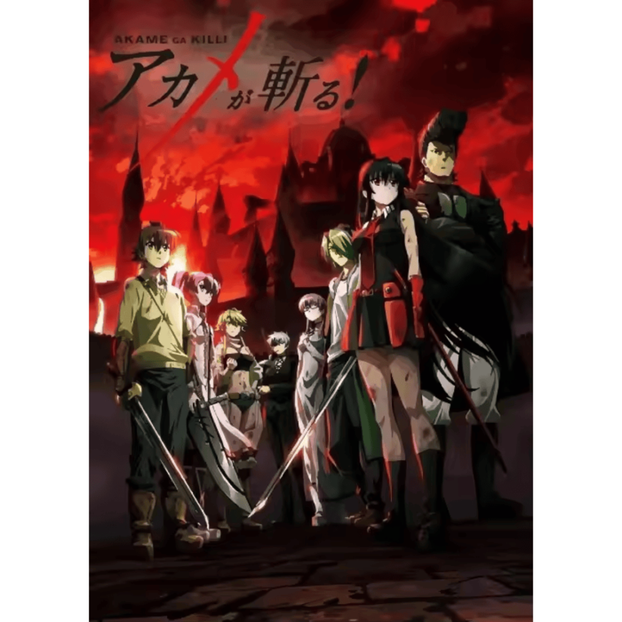 Anime Akame Ga Kill Characters Printed Canvas Wall Decor