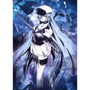 Anime Akame Ga Kill Esdeath Canvas Wall Decor