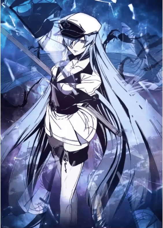 Anime Akame Ga Kill Esdeath Canvas Wall Decor