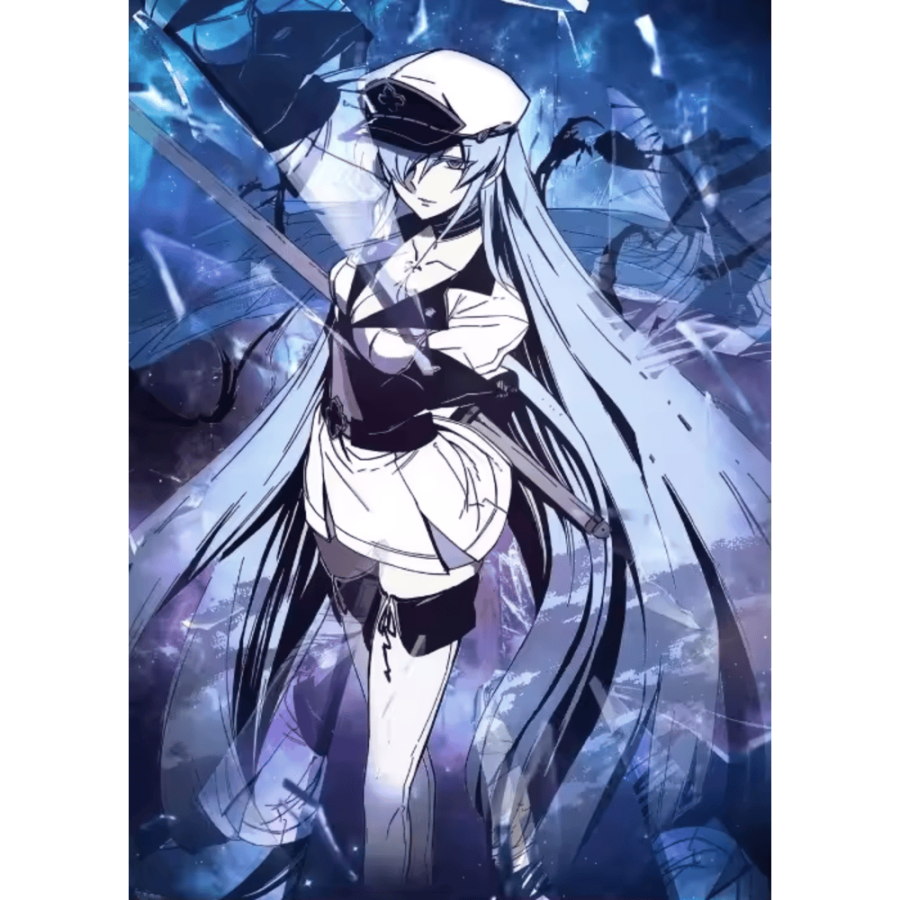 Anime Akame Ga Kill Esdeath Canvas Wall Decor