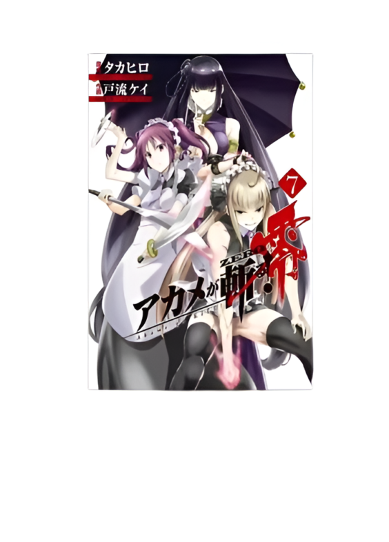 Anime Akame Ga KILL! ZERO, Vol. 7 Canvas Painting Poster