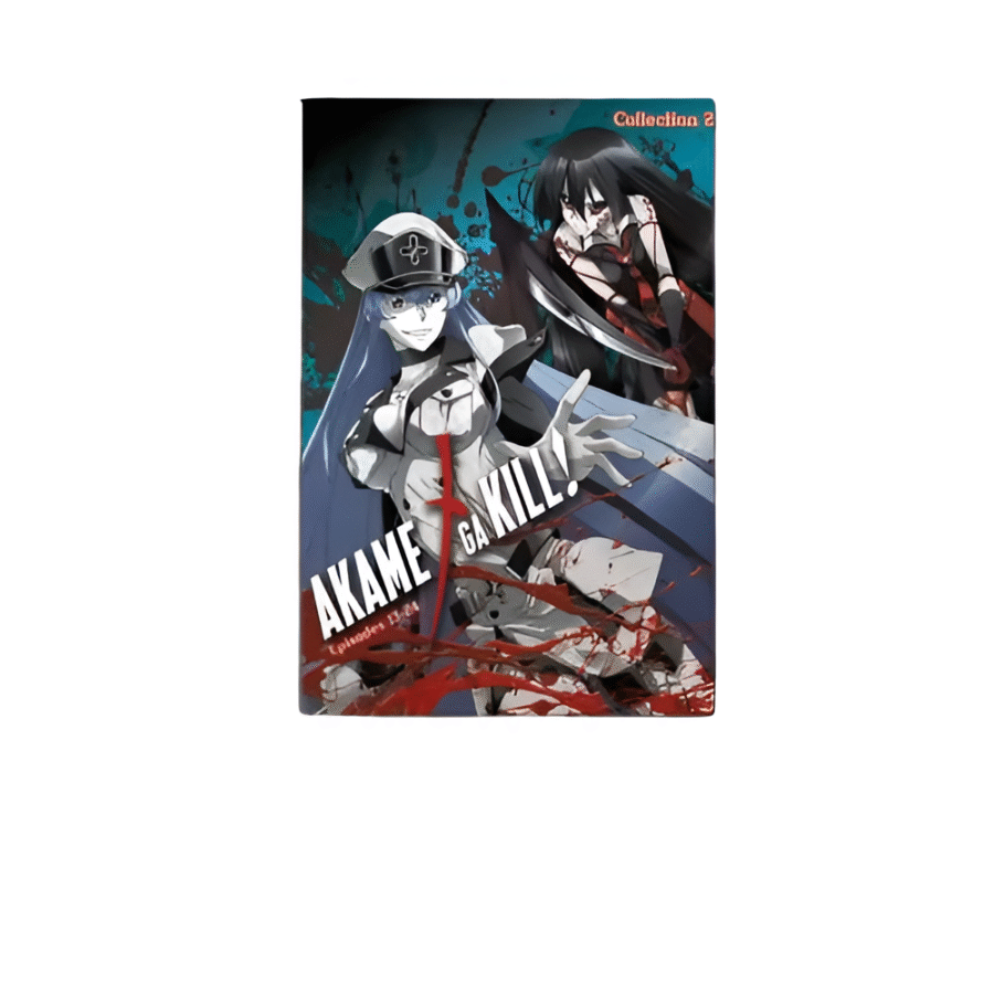 Anime Akame Ga Kill Esdeath And Akame Canvas Painting Poster