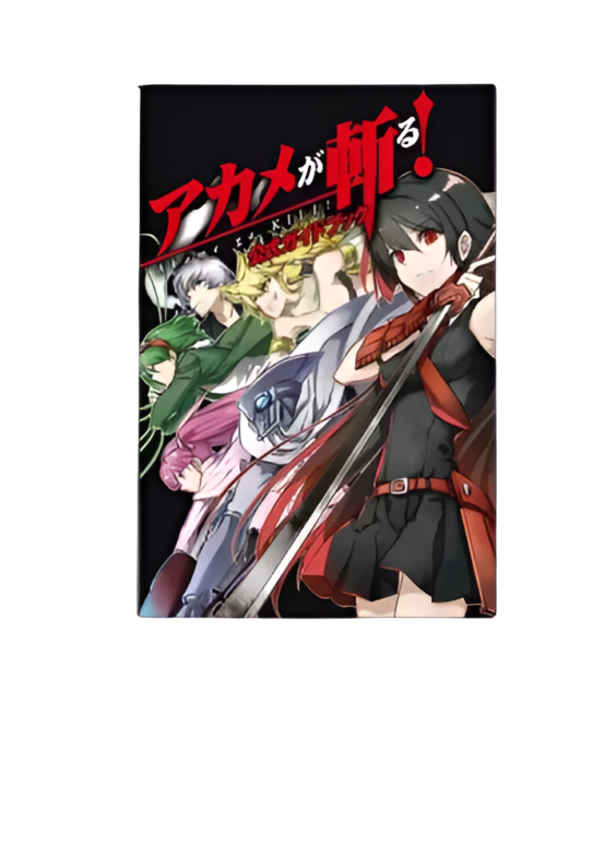 Akame Ga Kill Anime Characters Canvas Painting Poster
