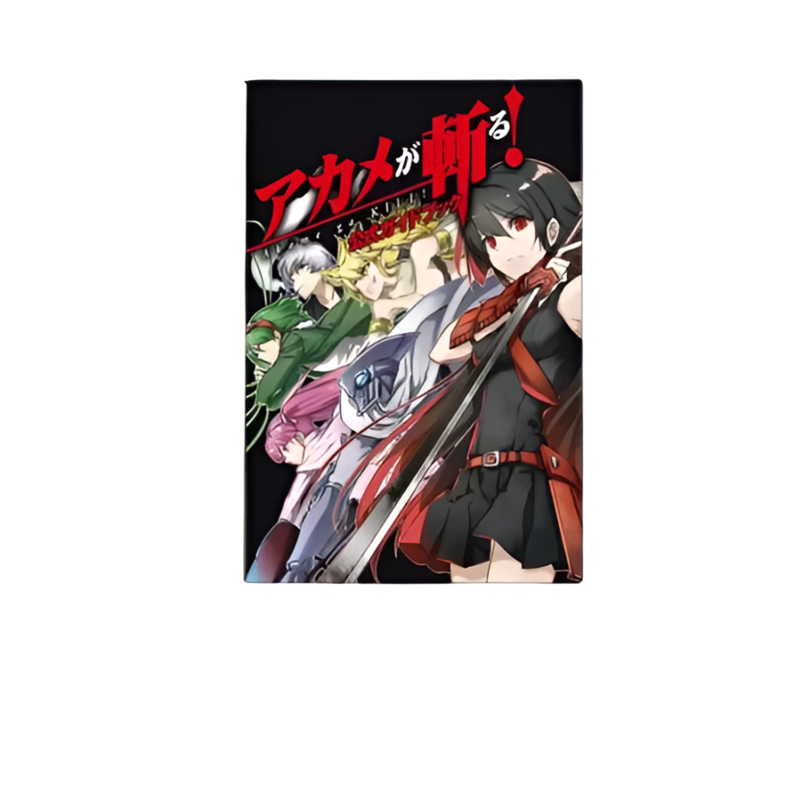 Akame Ga Kill Anime Characters Canvas Painting Poster