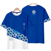 Anime Touhou Project Cirno Blue And White T-Shirt
