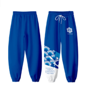 Touhou Project Anime Cirno 3D Print Jogger Pant