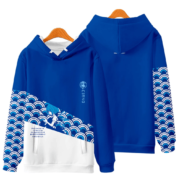 Touhou Project Cirno Anime Hoodie