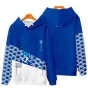 Anime Touhou Project Cirno 3D Printed Sweatshirt